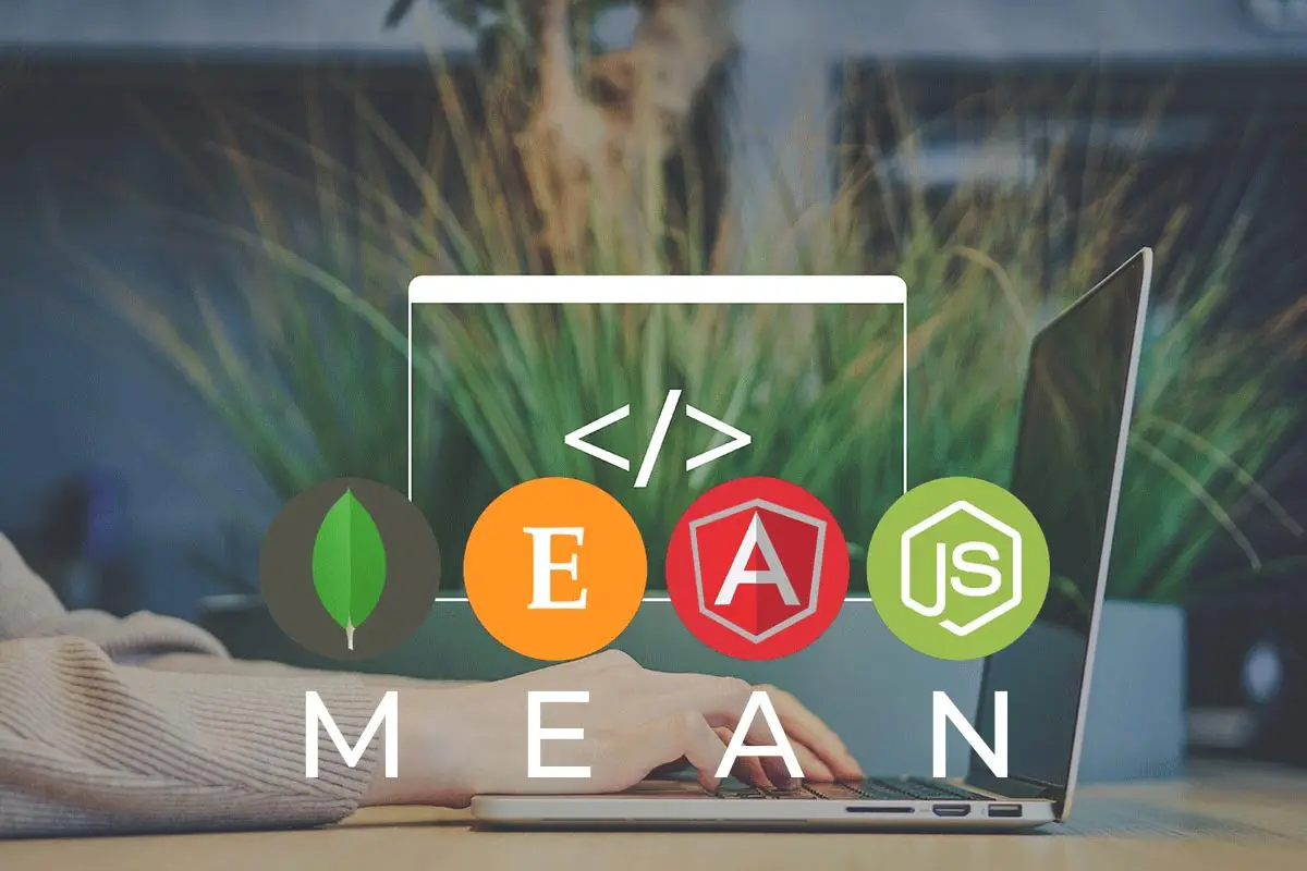 Web & Software Courses 11 mean