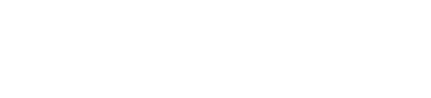 D Soft Institute